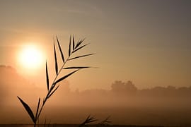 Um lindo por de sol. Um poema sobre a angústia causada pela insônia.