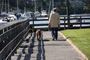 Um homem e seu cão. Resiliência. Um poema sobre aceitar.