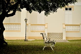 Um banco na praça. Um texto nostálgico.