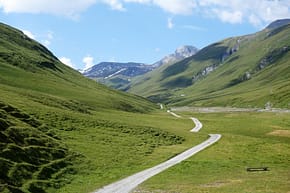 Os caminhos se tornam belos quando amamos o destino. Veja a poesia.